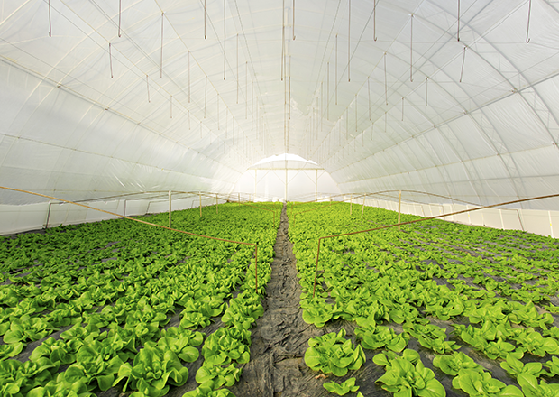 farm_detail03_use01