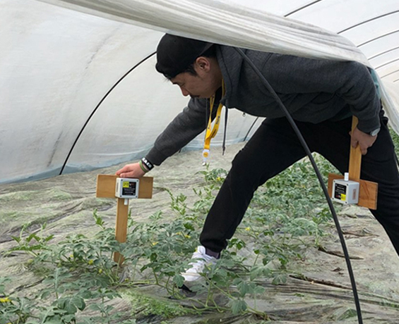 일본 비닐하우스 Smart Farm 프로젝트 소개