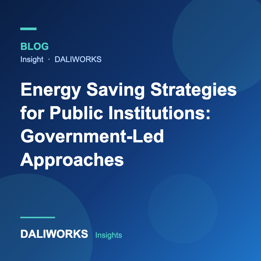 Energy Saving Strategies for Public Institutions: Government-Led Approaches