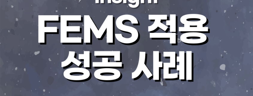 FEMS 적용 성공 사례