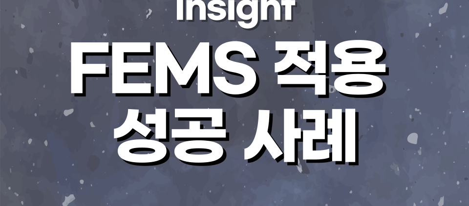 FEMS 적용 성공 사례